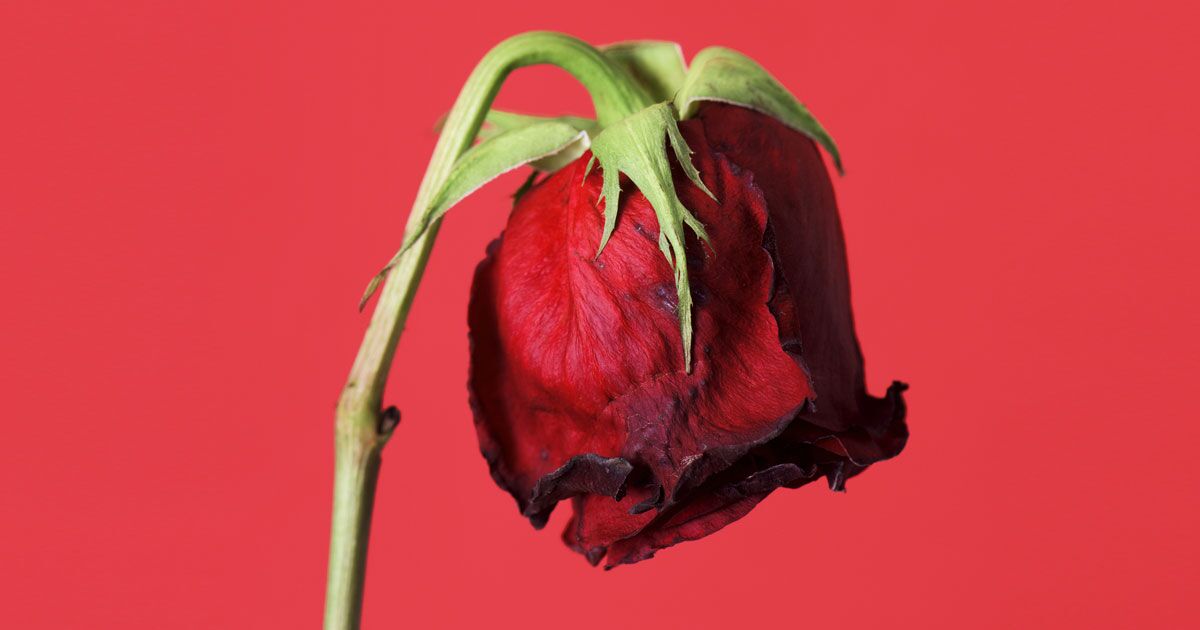 Erectile Dysfunction or Performance Anxiety