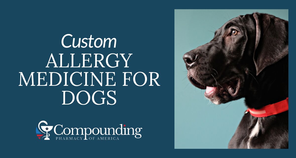 Custom Allergy Medicine for Dogs